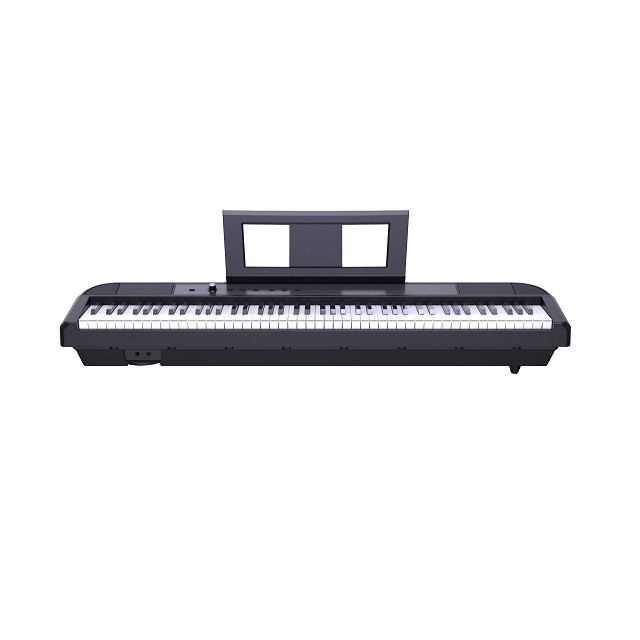 Battery Powered Digital Piano