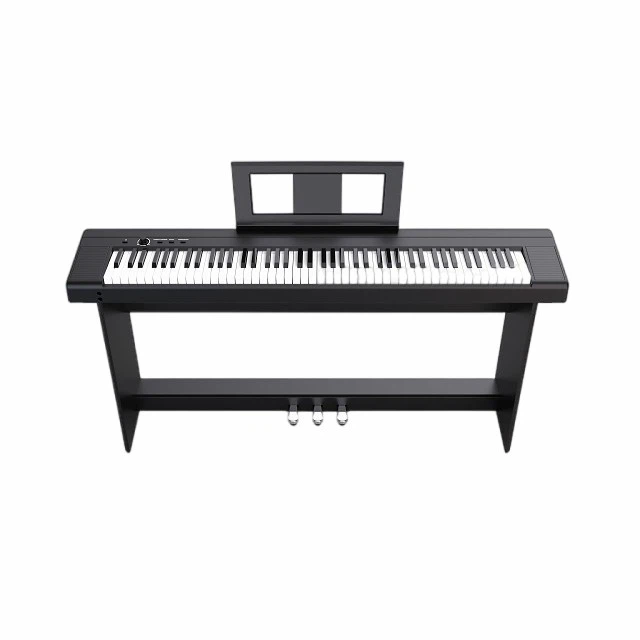 Convenient Portable Digital Piano-factory