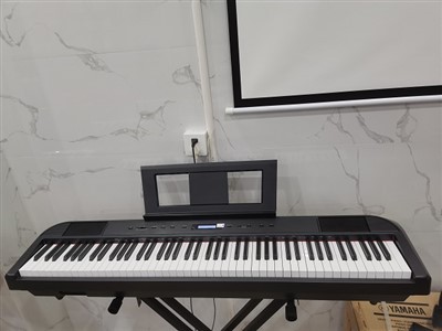88 Key Portable Digital Piano