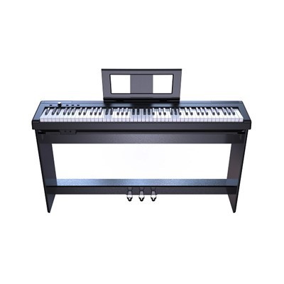 Portable Stage Piano