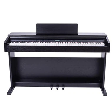 Portable Upright Digital Piano