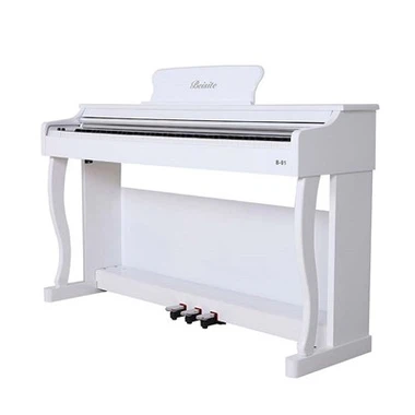 Rust Proof Upright Digital Piano